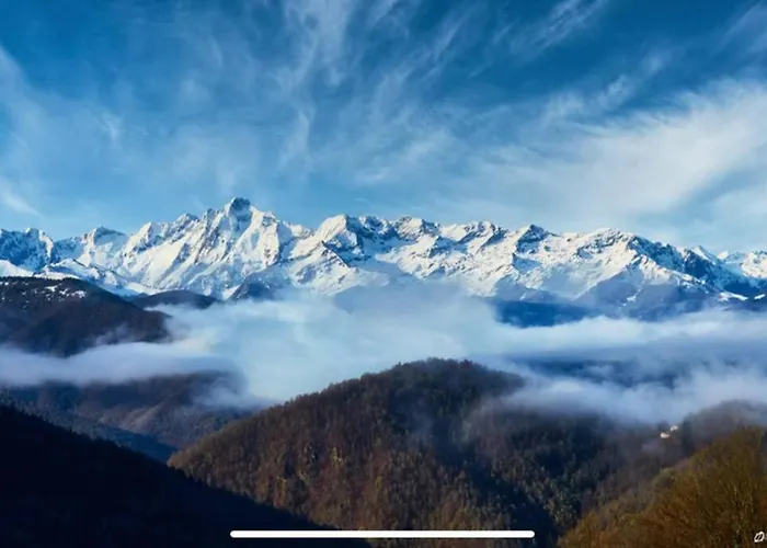 Le De La Vallee Du Douctouyre Dun